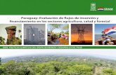 Paraguay: Evaluación de flujos de inversión y ... · y gobernabilidad en el área de cambio climático, y se genere información sobre flujos de inversión y financiamiento ...