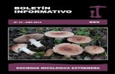 BOLETÍN INFORMATIVOmicoex.org/wp-content/uploads/2016/11/Boletin-informativo-2014-fin… · Boletín informativo n.º 13, - año 2013 - XXIV Sociedad Micológica Extremeña Ciencia