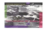Serie: Fichas Didácticas; 3...Municipal de Rocha, la Facultad de Humanidades y Ciencias de la Educación, y PROBIDES. Los cerritos de indios / 3 . 800 cerritos y 3.500 años de historia