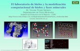 El laboratorio de hielos y la modelización computacional ...€¦ · Nubes moleculares del medio interestelar Gran riqueza química. Mas de 160 moléculas observadas Densidad -“alta”