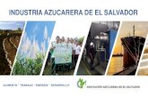 INDUSTRIA AZUCARERA DE EL SALVADOR - gob.mx...ambientes de calor en la agricultura, elaborada en conjunto con AICA 1. Hidratarse durante la jornada agrícola. 2. Descansar durante