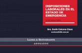 Disposiciones Laborales en el Estado de Emergencia - Estudio … · 2020. 3. 26. · Publicado el 18 de marzo de 2020. • Decreto de Urgencia N° 029-2020, dictan medidas ... 28