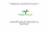 COOPERATIVA DE EMPLEADOS DE LA SEGURIDAD SOCIAL DE …coodess.com.co/.../dictamen-revisoria-fiscal-2018.pdf · En el ejercicio de la revisoría fiscal ejecutamos las siguientes actividades: