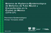 Presentación de PowerPointsersalud.cdmx.gob.mx/sspcdmx/Documentos/direccion... · Hidalgo 1 3 Oaxaca 1 3 Total 32 100 18 11 1 1 1 0 2 4 6 8 10 12 14 16 18 20 CDMX México Guerrero