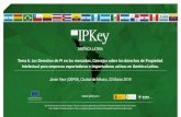 New Presentación de PowerPoint - IPKEY · 2019. 12. 16. · Consejos sobre los derechos de Propiedad Intelectual para empresas exportadoras e importadoras activas en América Latina.