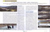 mediodes.commediodes.com/pdfs/es/cientificas/pecesGenal_AndaluciaEcologica.pdf · a la integridad ecológica del río, en general, y a los peces, en particular, corroborando 10 que