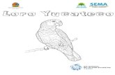 Presentación de PowerPoint - Quintana Roo · día mundial de la silvestre 3 marzo aaa quintana roo mÅs y mejores oporwnidades sema secretaría de ecología y medio ambiente
