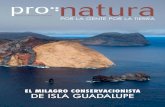EL MILAGRO CONSERVACIONISTA DE ISLA GUADALUPE. Isla Guadalupe... · 2019. 1. 22. · GRAN ANGULAR Hoy se considera que Isla Guadalupe es el mejor sitio del mundo para observar al