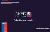 Dirección General de Relaciones Económicas ......Para la Región del Biobío (2016) IMPORTANCIA POLÍTICA DE APEC Para Chile Continuar política de posicionamiento en el Asia Pacífico