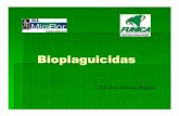 sesion8 2 Silvia Gonzalez Bioplaguicidas.ppt [Modo de … VIII... · 2008. 9. 14. · controla eficientemente el mal del talluelo, bacteriosis, mancha de hierro, roya del cafÉ organim