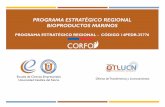 PROGRAMA ESTRATÉGICO REGIONAL BIOPRODUCTOS MARINOS · 2018. 5. 15. · regional. • Levantamiento y sistematización de información primaria. • Caracterización de los actores