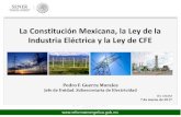 Presentación de PowerPoint - UNAM · y contabilidad de las distintas empresas de CFE.* •Deberán asignar personal para presentación de ofertas y realización de liquidaciones,