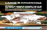 INTRODUCCIÓN - IPCVA · Corte a corte, qué compran los países que importan carne argentina. En el último año, los principales destinos fueron China, la Unión Europea, Chile,