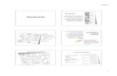 storyboards - brainmint.files.wordpress.com · Storyboards Una guía visual que permite al director planear y experimentar con el ﬂujo de la historia así como con aspectos visuales