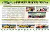 AGRUPACIONS DE DEFENSA FORESTALAGRUPACIONS DE DEFENSA FORESTAL Alt Penedès, Baix Penedès i Garraf c/ Pati del Gall, 16 - tel. 93 817 28 18 Butlletí Informatiu núm. 6 - abril 2012
