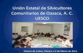 Unión Estatal de Silvicultores Comunitarios de Oaxaca, A. C. UESCO€¦ · al 2006. • Conformación de una organización de representación estatal que representará a cada una
