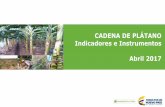 CADENA DE PLÁTANO Indicadores e Instrumentos Abril 2017 C… · La cadena productiva de plátano en Colombia a través de su Consejo Nacional tendrá la misión de servir de órgano