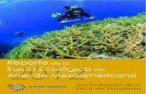 El Arrecife Mesoamericano - Docencia CURLA · 2014. 2. 15. · 4 ¿Qué Contiene? El Reporte de la Salud Ecológica del Arrecife Mesoamericano 2012 destaca tres secciones principales
