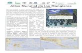Atlas Mundial de los Manglares - ITTO and Communications...manglares del planeta a escala verdaderamente mundial. Escrito por el Dr. Mark Spalding, un experto líder en materia de