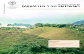 Panorama actual del PARAMILLO Y SU ENTORNO2014.derechoshumanos.gov.co/Observatorio/Publicaci...En la actualidad la región del Paramillo1 no es simplemente una zona de disputa en la