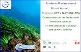 New Praderas Marinas en el Litoral Andaluz Proyecto LIFE + … · 2012. 1. 9. · Dimensiones: 4000 km. desde el Este al Oeste 46000 km. de litoral Superficie: El Mediterráneo representa