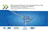 Perspectivas económicas de América Latina 2020e implementar sistemas de protección social más sólidos, una mejor y más accesible atención sanitaria, unas finanzas públicas