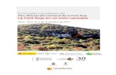 Alcoi - Ibi 3, 4 i 5 de novembre de 2017 - ua · III Jornades Científiques Parc Natural del Carrascal de la Font Roja (Alcoi-Ibi, 3, 4 i 5 de novembre de 2017) 3 PROGRAMA 3 de novembre