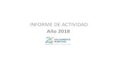 INFORME DE ACTIVIDADsalvamentomaritimo.es/statics/multimedia/documents/2019/07/25/... · Accidente: Abordaje, escora, colisión, hundimiento, incendio, explosión, vía de agua, vuelco,