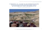 Asociación Museo Arqueologico Lorca - VISITA A LOS … · 2011. 3. 11. · - Visita de varios puntos de interés minero y almuerzo (11 a 12) Punto central de los afloramientos con