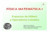 FÍSICA MATEMÁTICA I - UGRbosca/WebFCenRed/indexFisMat_archivos/... · 2009. 10. 6. · FÍSICA MATEMÁTICA I Espacios de Hilbert y Operadores Lineales María Cruz Boscá Dpto. Física