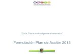 Formulación Plan de Acción 2013 … · Secretaría de Planeación ... El Plan de Acción es una herramienta de planificación, que permite definir las estrategias del Plan de Desarrollo,