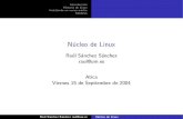 Núcleo de Linux · Historia de Linux Comienzos Linux 1.0 Linux 2.0 Linux 2.2 Linux 2.4 Linux 2.6 Instalando un nuevo nucl´ eo Nume´ ros de versiones del nucleo´ Instalando a la