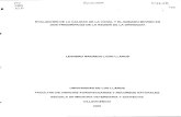 40bibliotecadigital.agronet.gov.co/bitstream/11348/4827/1/040.pdf · En Villavicencio las vacas y los toretes (23%), los novillos (22%) y los machos enteros (19 %). El color primario