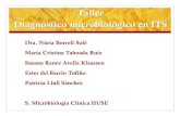 Taller Diagnóstico microbiológico en ITS€¦ · Ester del Barrio Tofiño Patricia Llull Sánchez S. Microbiología Clínica HUSE . TÉCNICAS SEROLÓGICAS Permite detección de