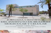 JORNADA CIENTÍFICA DEL INSTITUTO DE BIOLOGÍA …biotecnologia.edu.umh.es/.../319/2017/06/FOLLETO-JORNADA-IBMC … · Coordinador Programa Doctorado IBMC. 9:50h. ALMUDENA PEREZ.