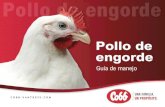 Pollo de engorde...2019/02/22  · l compromiso de Cobb con la mejora genética continúa aumentando el potencial de desempeño en todas las áreas de la producción de pollos de engorde