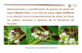 Proyecto FO CIBIOGEM 186671 - Inicio - Conacyt · Proyecto FO‐CIBIOGEM‐186671 Determinación y cuantificación de granos de polen de Soya (Glycine max L.) en miel de abeja (Apis