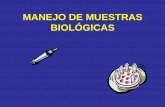 MANEJO DE MUESTRAS BIOLÓGICASMANEJO DE MUESTRAS BIOLÓGICAS Author: Usuario Created Date: 4/28/2009 10:31:58 AM ...