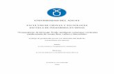 FACULTAD DE CIENCIA Y TECNOLOGIA ESCUELA DE INGENIERIA …dspace.uazuay.edu.ec/bitstream/datos/9645/1/15278.pdf · UNIVERSIDAD DEL AZUAY FACULTAD DE CIENCIA Y TECNOLOGIA ESCUELA DE