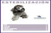ESTERILIZACIÓN - Equipamiento veterinario · ESTERILIZACIÓN 8 www- - VAPOR AUTOCLAVE AUTESTER DRY-PV III 80 SELECTA Mueble exterior, encimera, depósito y tapa en acero inox. Purgado