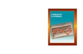 New CALIDAD DE LA ENERGIAelectricistasdechile.cl/download/eficiencia_energetica... · 2019. 6. 27. · CALIDAD DE LA RED ELECTRICA PARTE 1. DISTORSION ARMONICA 1.1. Consumos lineales.