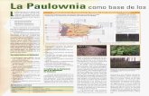 La Paulownia como base de los...La Paulownia como base de los L a Paulownia es un árbol origi-nario de China, donde hay más de 15 millones de hec-táreas plantadas. Se cono-cen cuatro