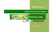 FRUTICULTURA - Instituto Formaçãoifcursos.com.br/sistema/admin/arquivos/09-57-48... · A participação das frutas na composição do Valor Bruto da Produção das lavouras é de