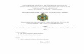 UNIVERSIDAD NACIONAL AUTÓNOMA DE NICARAGUA FACULTAD REGIONAL MULTIDICIPLINARIA DE ... · 2017. 1. 31. · universidad nacional autÓnoma de nicaragua facultad regional multidiciplinaria