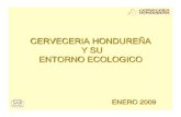CERVECERIA HONDUREÑA Y SU ENTORNO ECOLOGICO · 2012. 1. 3. · El grupo industrial Cervecería Hondureña esta integrado verticalmente por dos empresas subsidiarias que forman parte