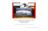 LOS CARROS DE FUEGO DEL TIEMPO DEL FINreyjusticianuestra.com/wp-content/uploads/2015/09/CAPITULO-1-44.… · -> OVNIS y VIMANAS, es decir maquinas voladoras milenarias de tecnología