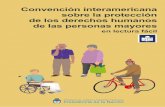 Convención interamericana sobre la protección de los ... · Azucena Plazas, Blanca Hernández, Inés Giraldi de Romano, Venicio Romano, pertenecientes al Taller de estimulación