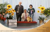 New PowerPoint Presentation · 2018. 6. 19. · Setar's ASeons Academy Awards (THA) Owner: Sidney Bascon Breeder. Setasak Ake-U Wejakul . BEST IN JUNIOR in SHOW 2 Jack Russell Terrier