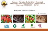 New Acceso a Mercados Sostenibles y Seguridad Alimentaria para …expoapen.apen.org.ni/.../10/PROMESSA-CAFCA-en-EXPOAPEN.pdf · 2019. 2. 16. · • Se han distribuidos 180,000 plantas