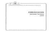 Comunicaciones-1985fhia.org.hn/dowloads/informes_tecnicos/Inf_Tec...Requerimiento Agroecológico de B. y P. Producción de Pimienta Negra Producción de Espárrago Producción de Cebolla